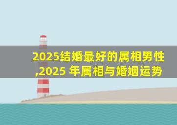 2025结婚最好的属相男性,2025 年属相与婚姻运势